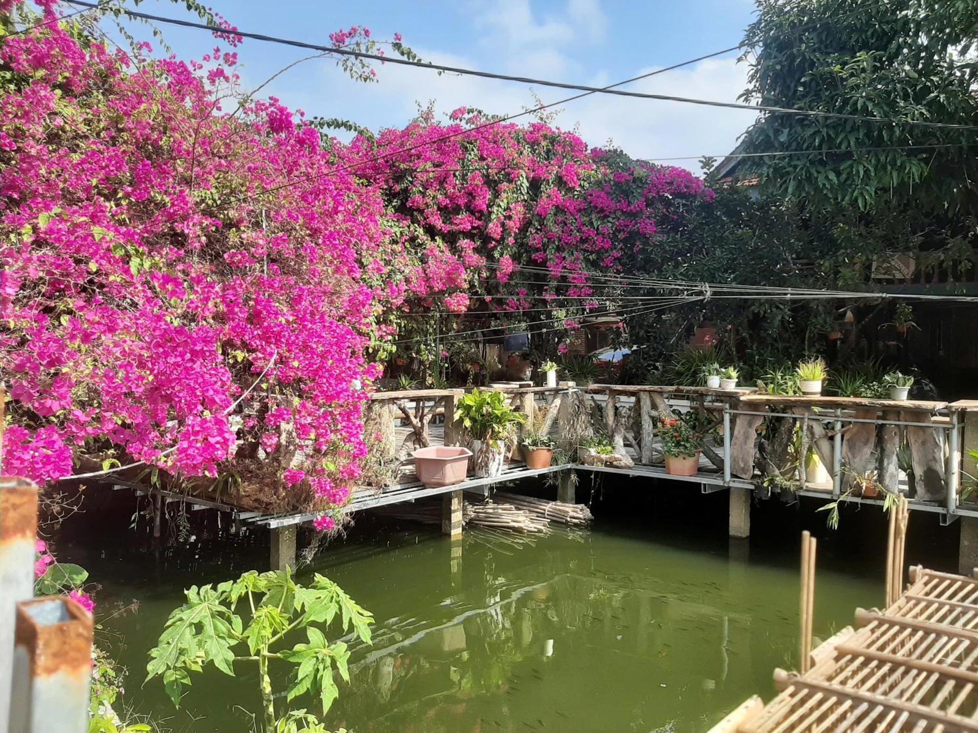 Minh Ngoc Homestay Dien Bien Phu Ban Hin Lom Exterior foto